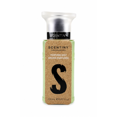 Perfume Mıst Erkek S