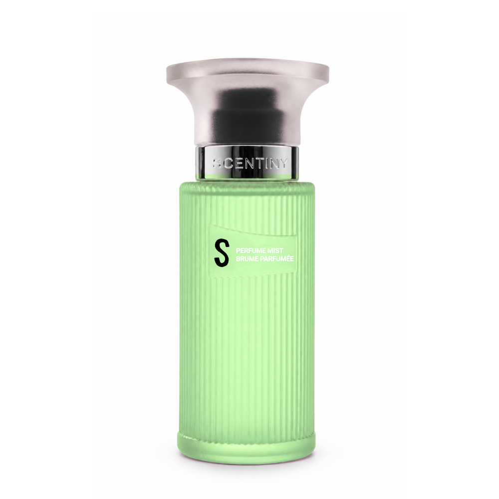Perfume Mıst Erkek S