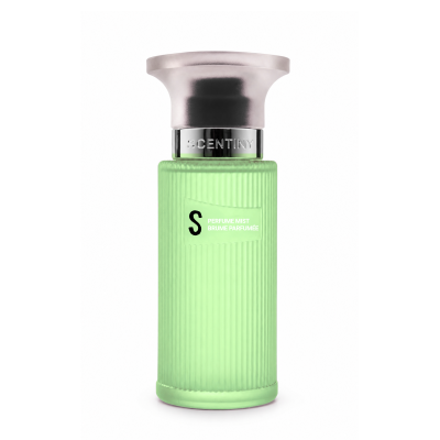 Perfume Mıst Erkek S