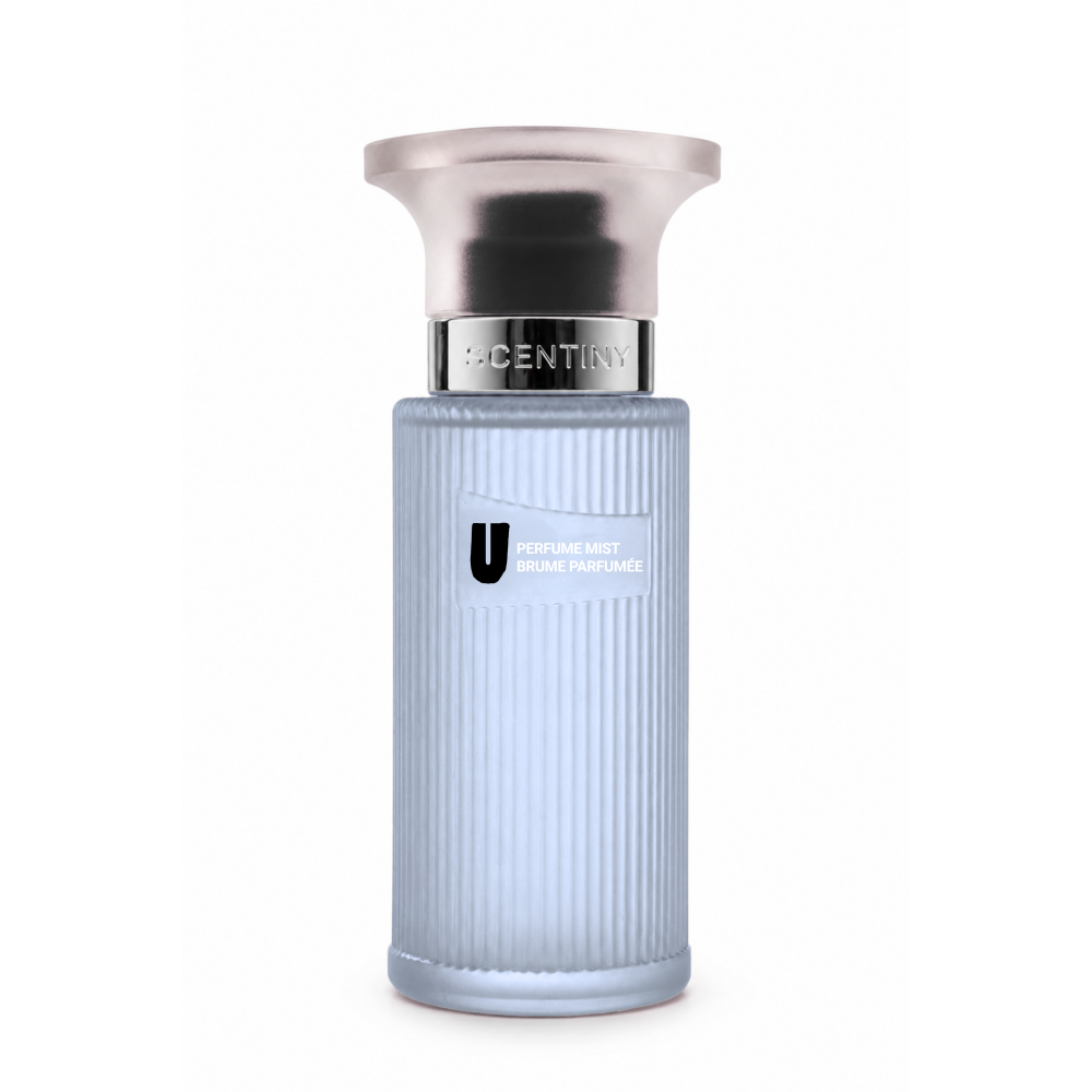 Perfume Mıst  Erkek U