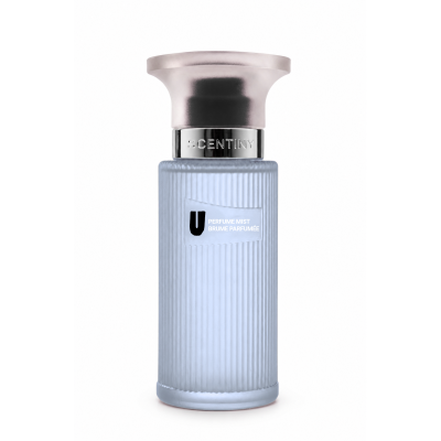 Perfume Mıst  Erkek U